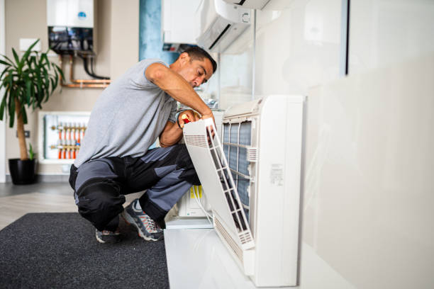 Best Local Air Duct Cleaning Services  in Dimondale, MI