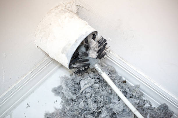 Best Ventilation Cleaning Services  in Dimondale, MI